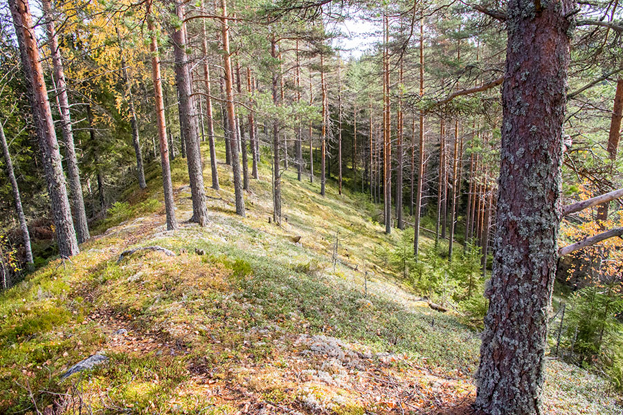 Vaalunsärkkä, Heinävesi