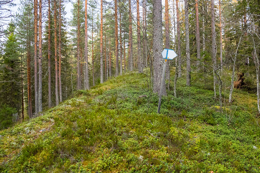 Vaalunsärkkä, Heinävesi