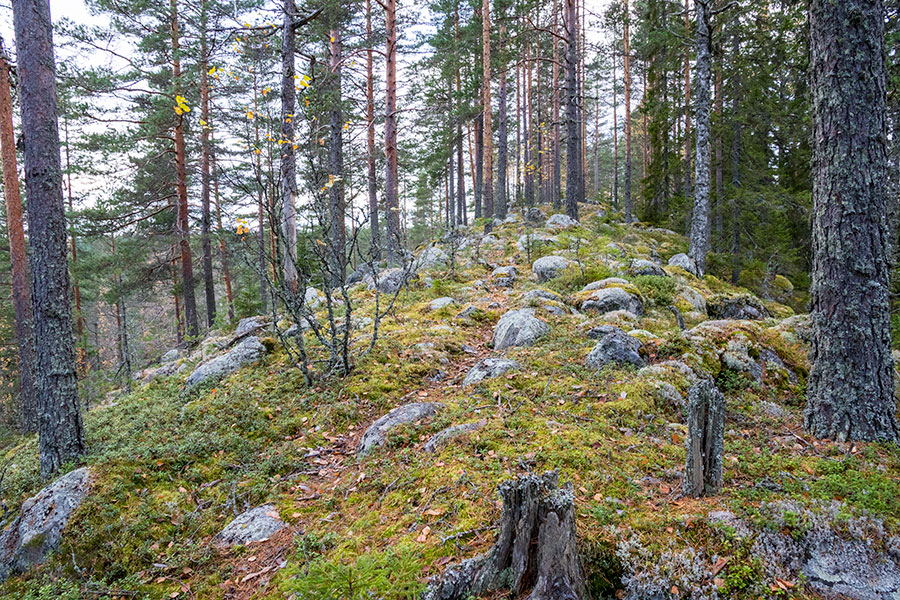 Vaalunsärkkä, Heinävesi