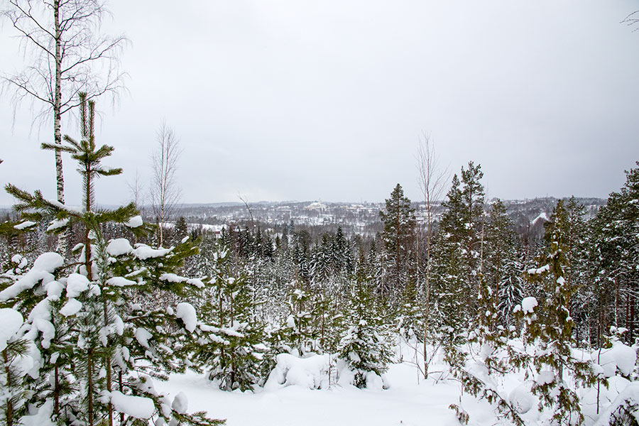 Leppävuori, Leppävirta