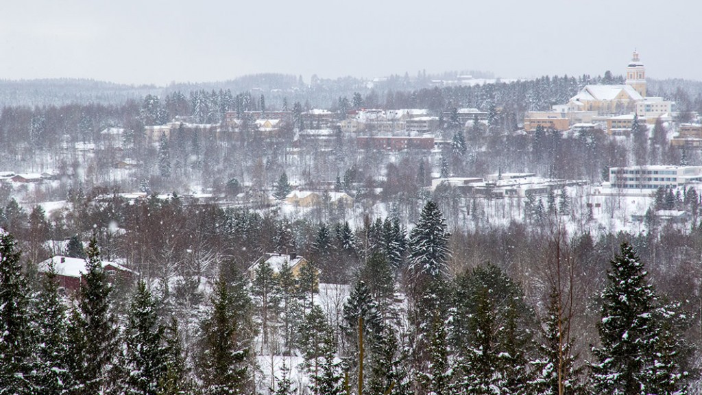 Leppävuori, Leppävirta