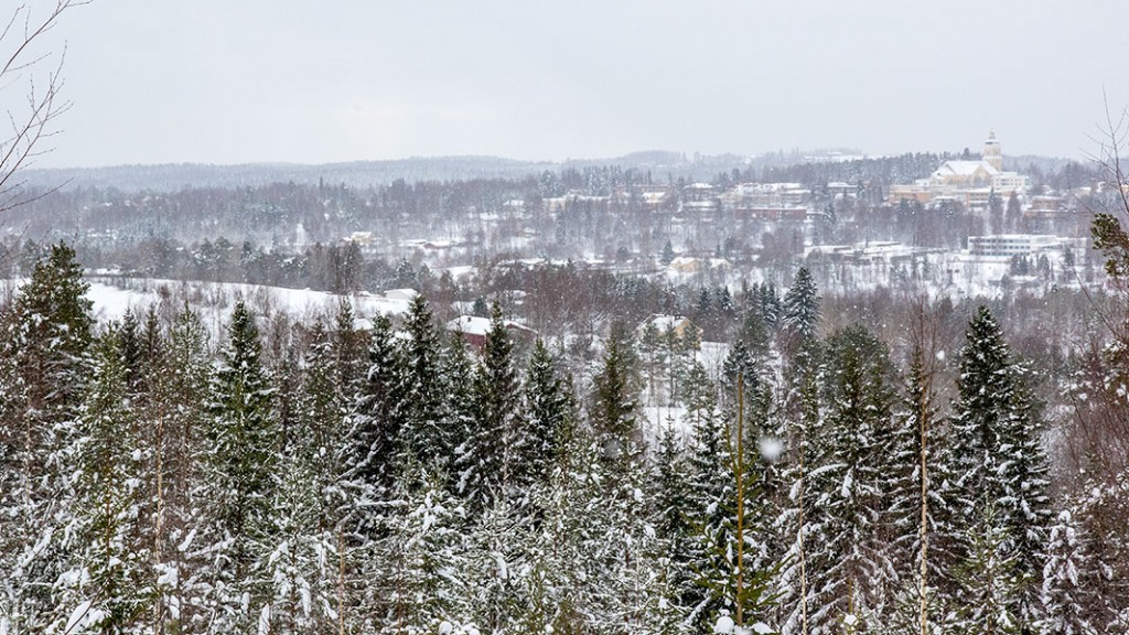 Leppävuori, Leppävirta