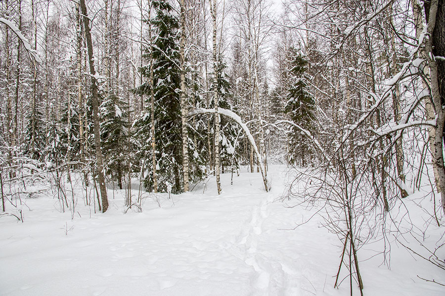 Leppävuori, Leppävirta