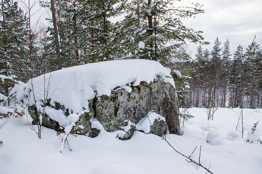 Leppävuori, Leppävirta