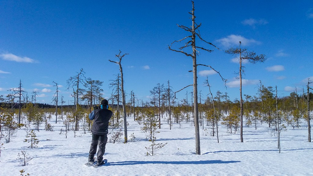 Vuotsinsuo, Joroinen