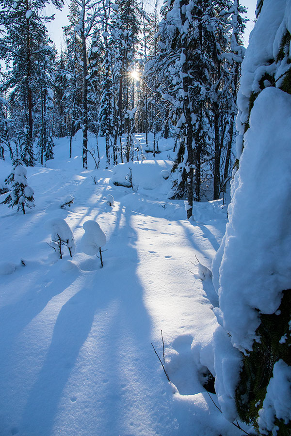 Kuvajanniemi, Sorsavesi, Leppävirta