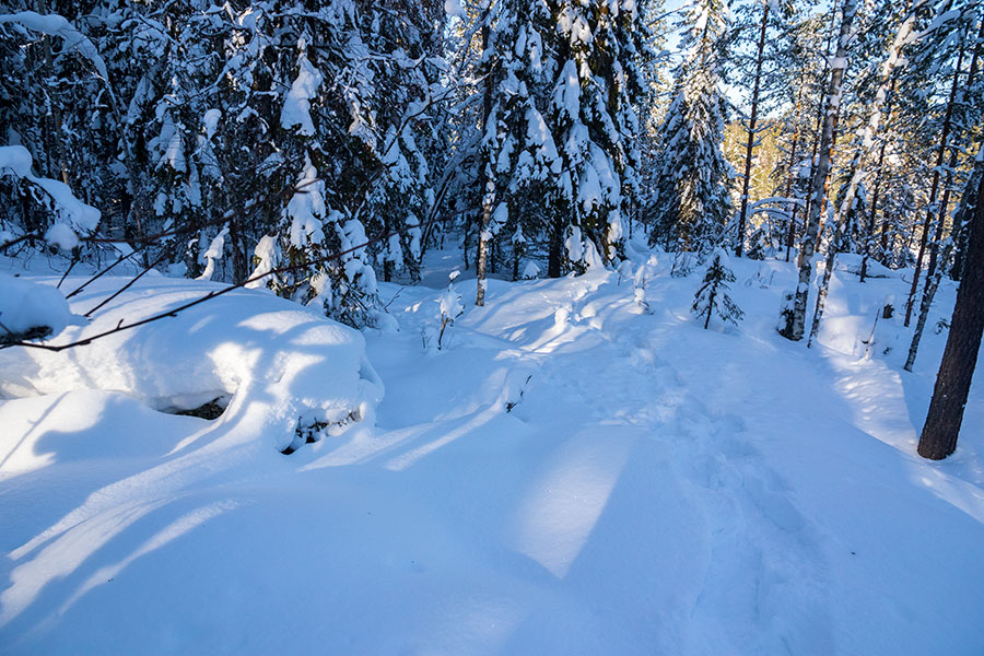 Kuvajanniemi, Sorsavesi, Leppävirta