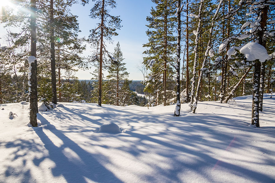 Kuvajanniemi, Sorsavesi, Leppävirta