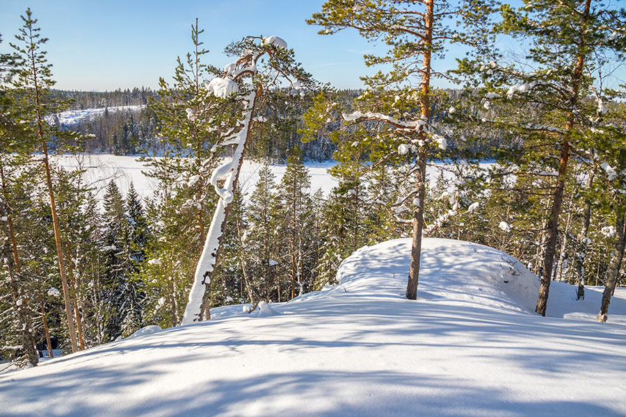 Kuvajanniemi, Sorsavesi, Leppävirta