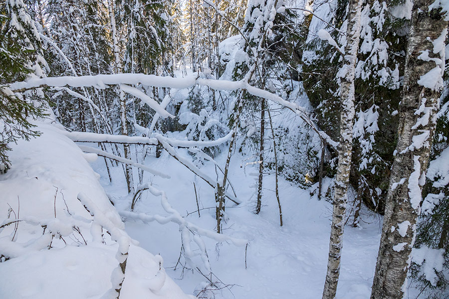 Kuvajanniemi, Sorsavesi, Leppävirta