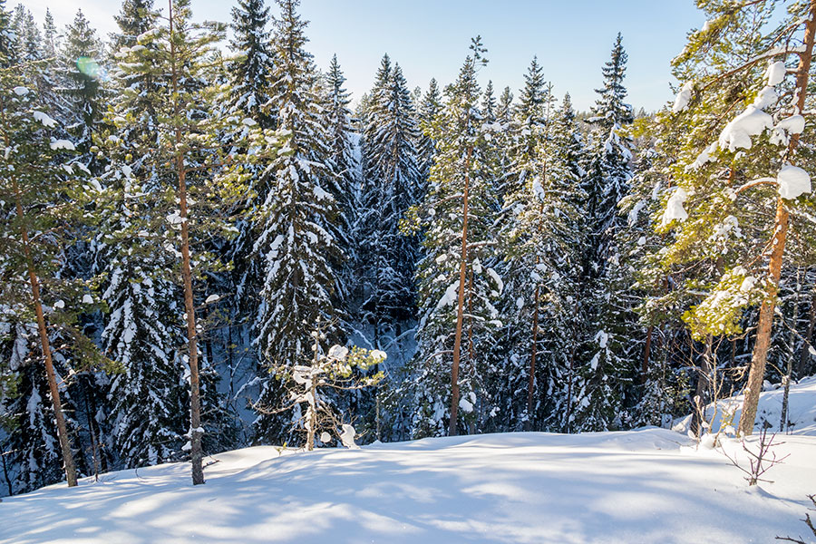 Kuvajanniemi, Sorsavesi, Leppävirta