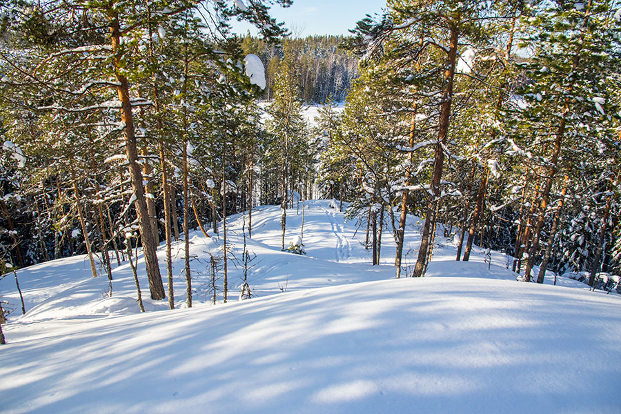 Kuvajanniemi, Sorsavesi, Leppävirta