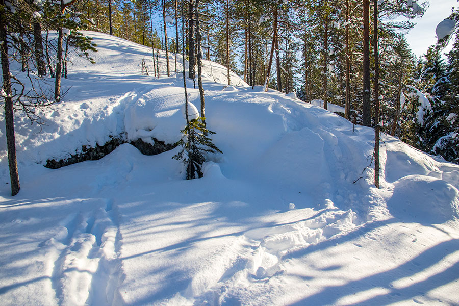 Kuvajanniemi, Sorsavesi, Leppävirta