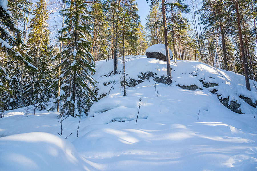 Kuvajanniemi, Sorsavesi, Leppävirta