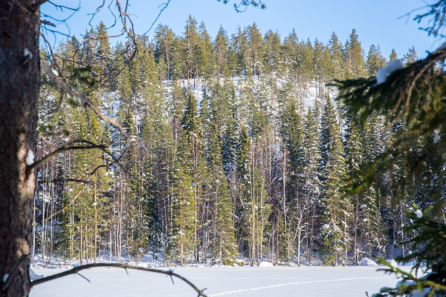 Kuvajanniemi, Sorsavesi, Leppävirta