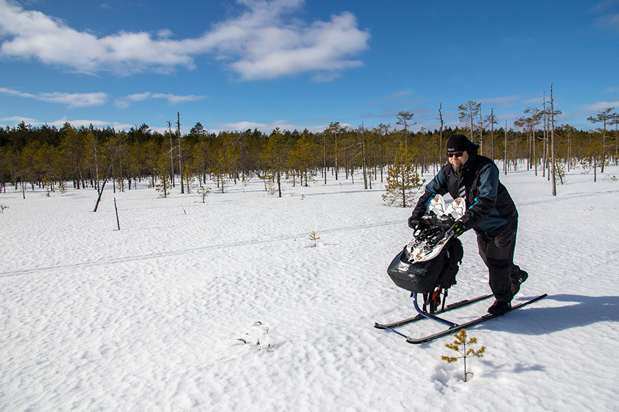 Vuotsinsuo, Joroinen