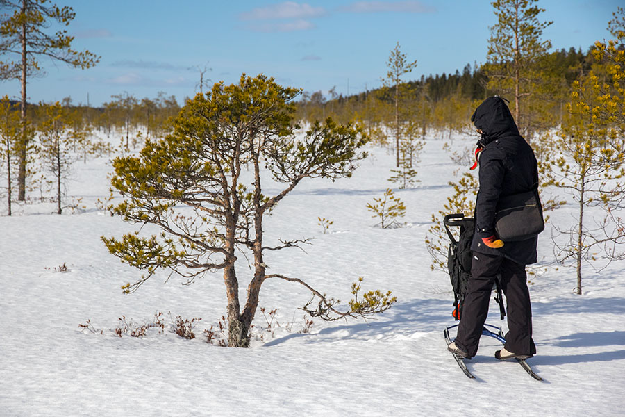 Vuotsinsuo, Joroinen