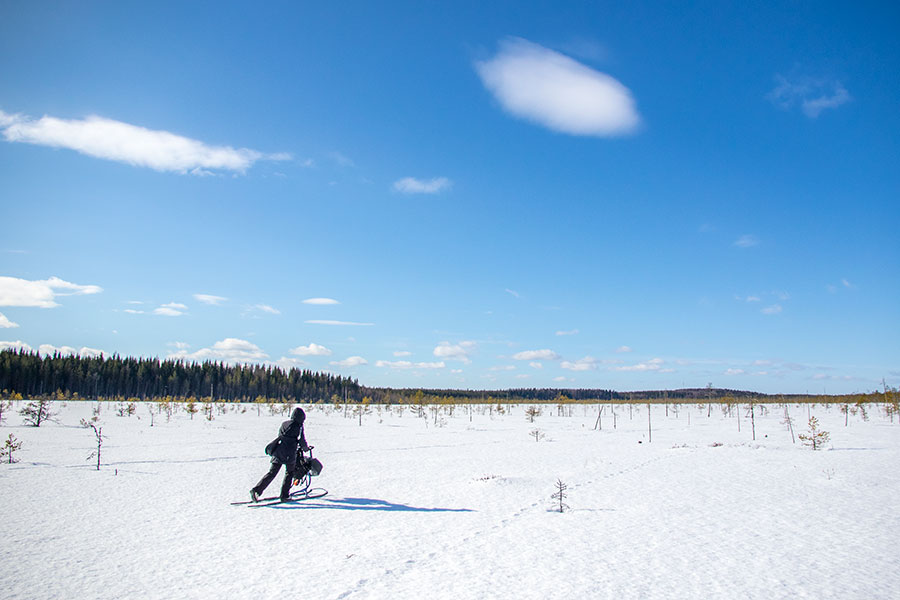 Vuotsinsuo, Joroinen