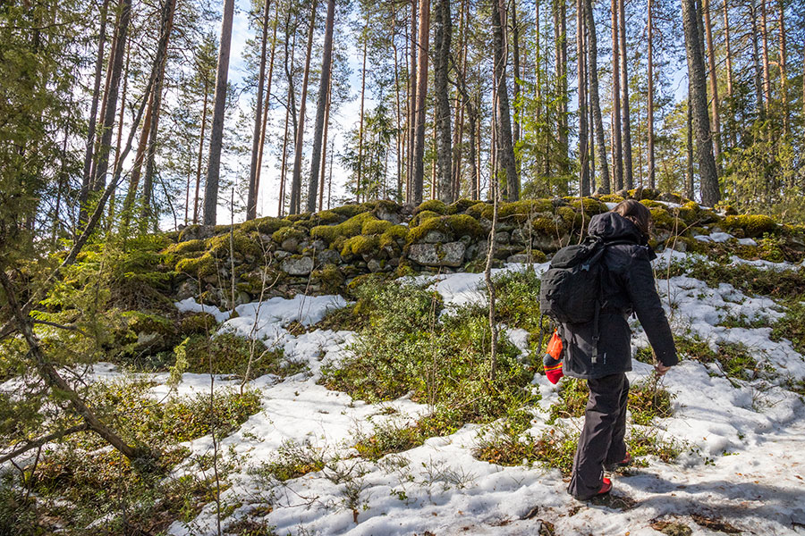 Pisamalahden Linnavuori, Sulkava