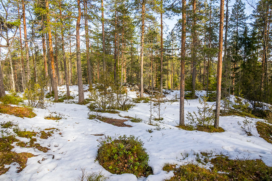 Pisamalahden Linnavuori, Sulkava