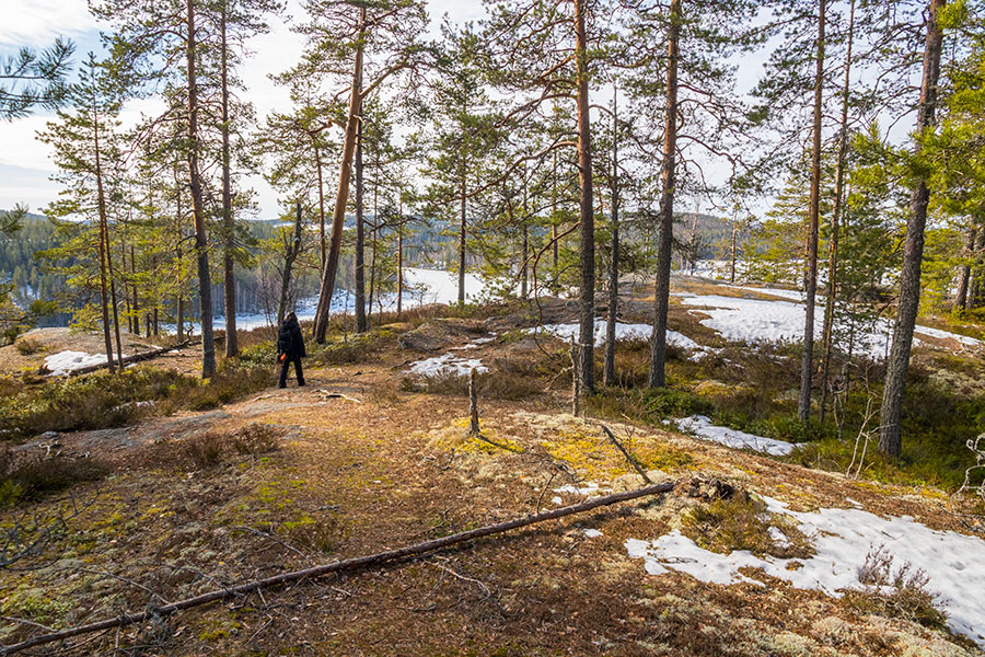 Pisamalahden Linnavuori, Sulkava