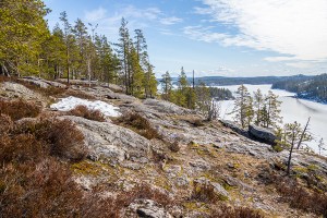 Pisamalahden Linnavuori, Sulkava