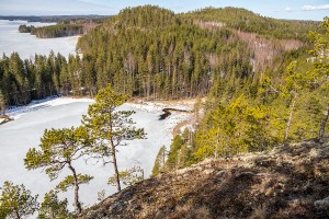 Pisamalahden Linnavuori, Sulkava