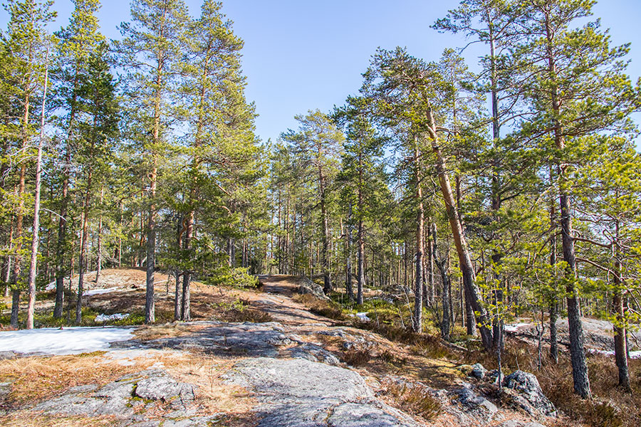 Pisamalahden Linnavuori, Sulkava