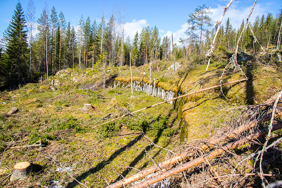 Riihivuori, Leppävirta