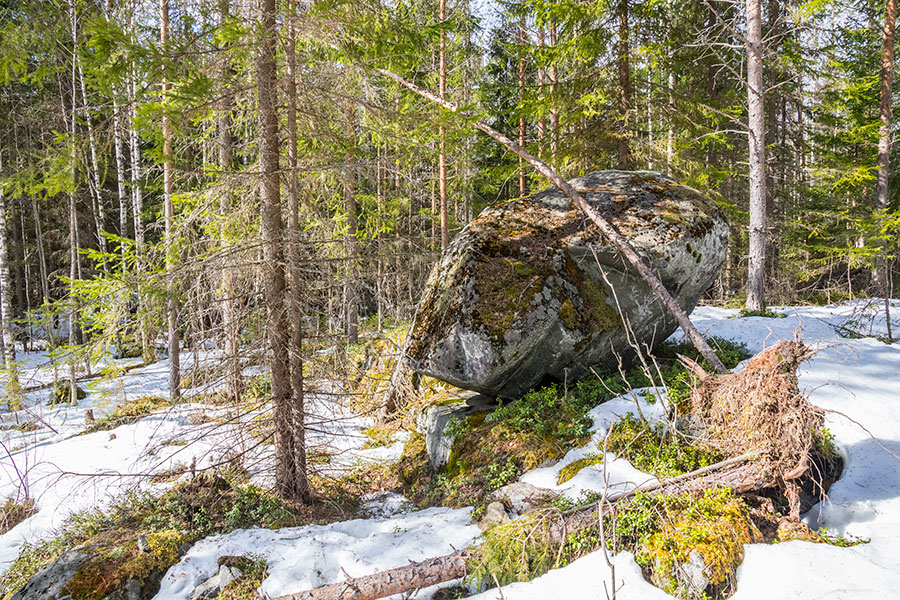 Riihivuori, Leppävirta