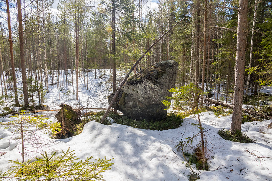 Riihivuori, Leppävirta