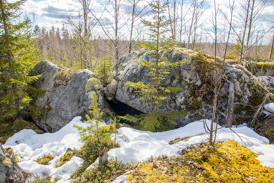 Riihivuori, Leppävirta