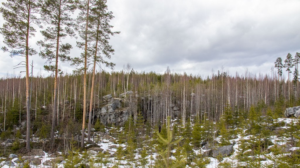 Riihivuori, Leppävirta