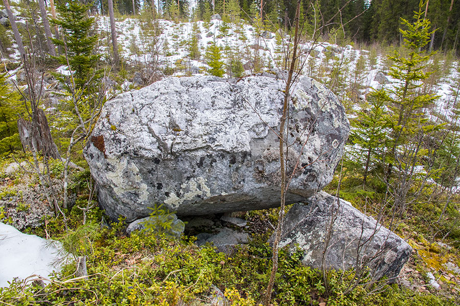 Riihivuori, Leppävirta