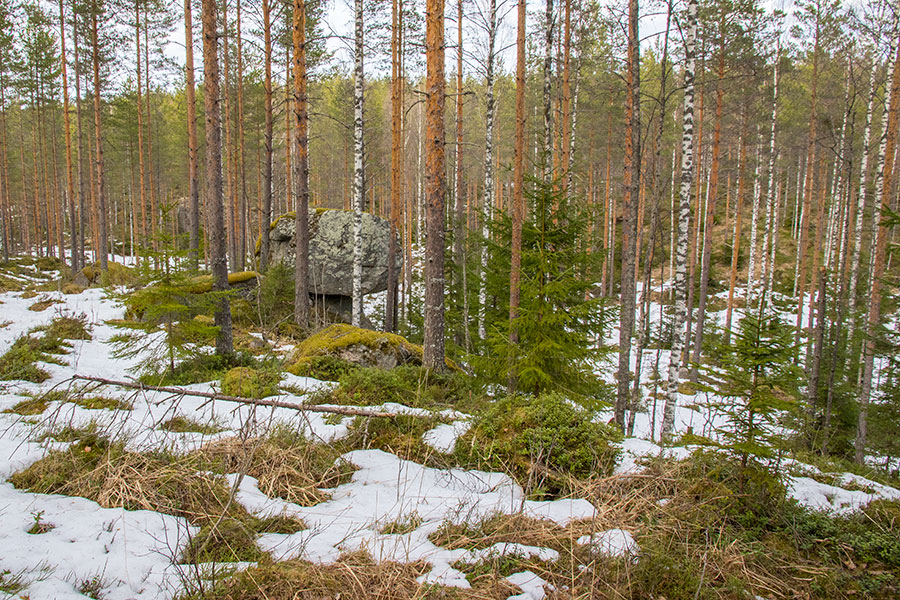 Sauna-Saarinen, Tihusniemi