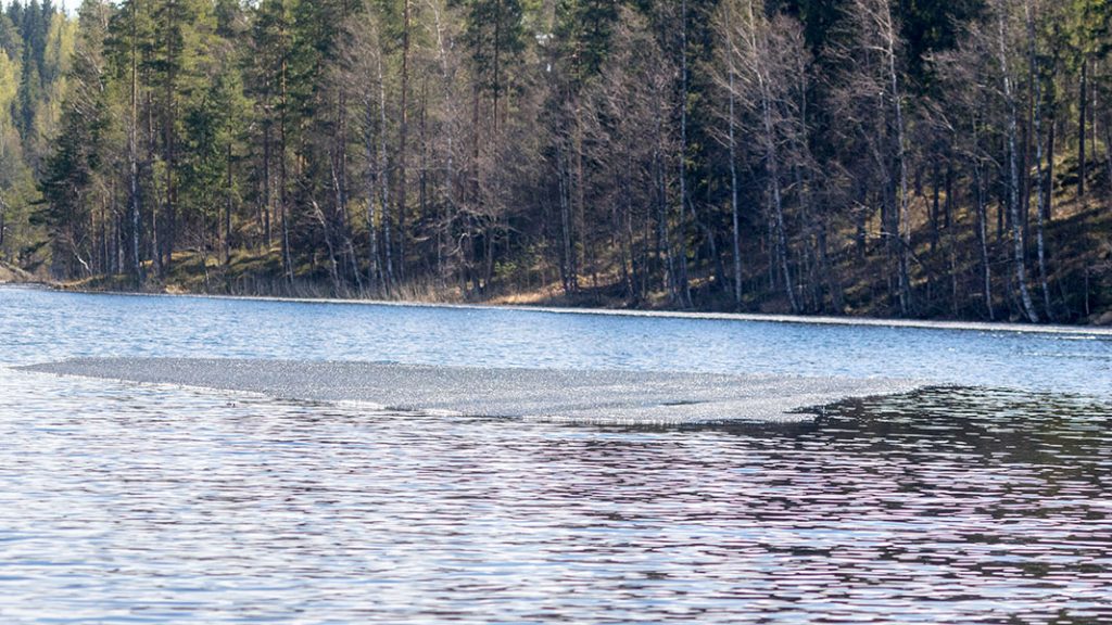 Linnansaaren kansallispuisto, Haukivesi, Rantasalmi