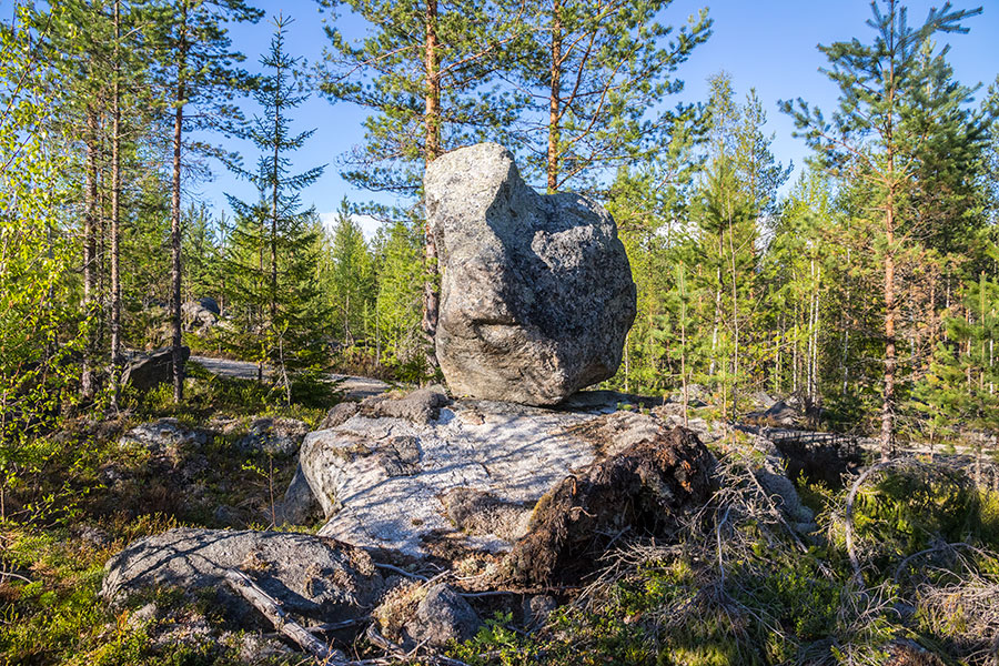 Kurjenvuori, Sorsakoski