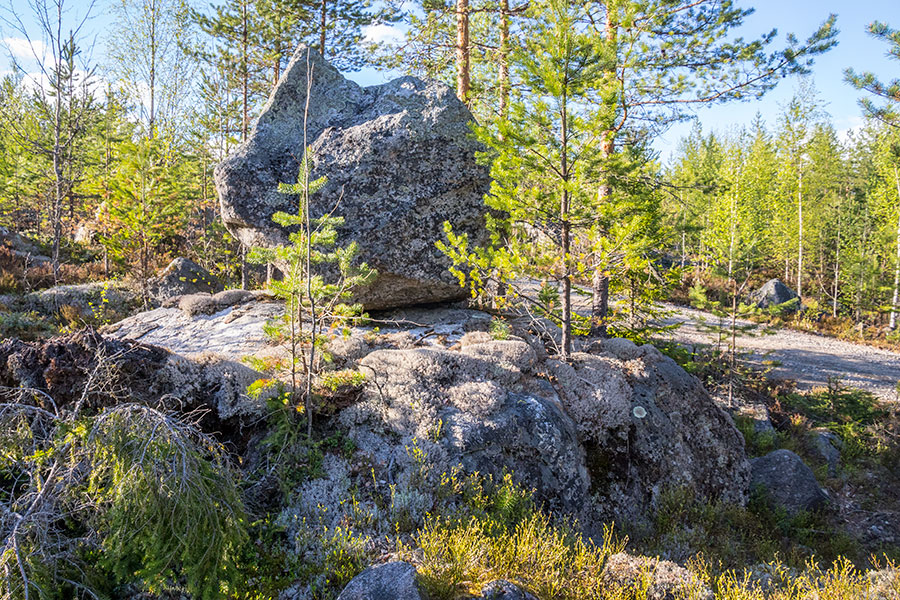 Kurjenvuori, Sorsakoski