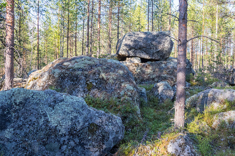 Kurjenvuori, Sorsakoski