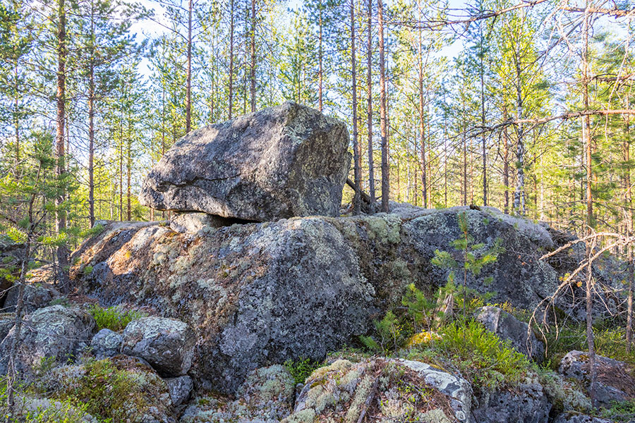 Kurjenvuori, Sorsakoski