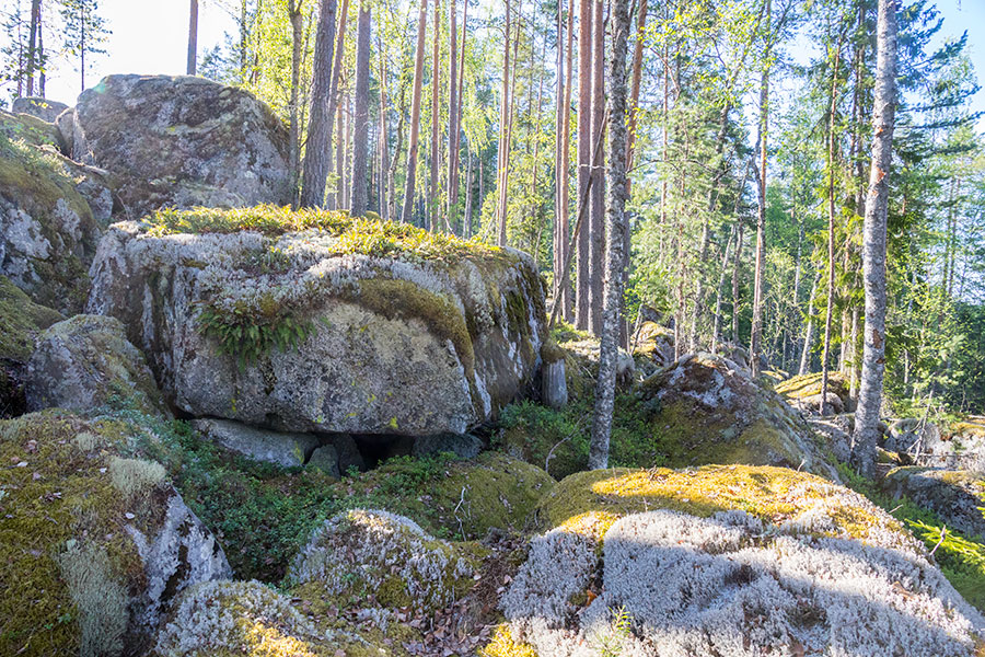 Kurjenvuori, Sorsakoski