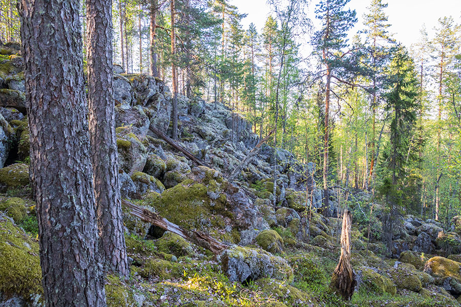 Kurjenvuori, Sorsakoski