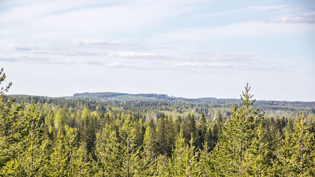 Kurjenvuori, Sorsakoski