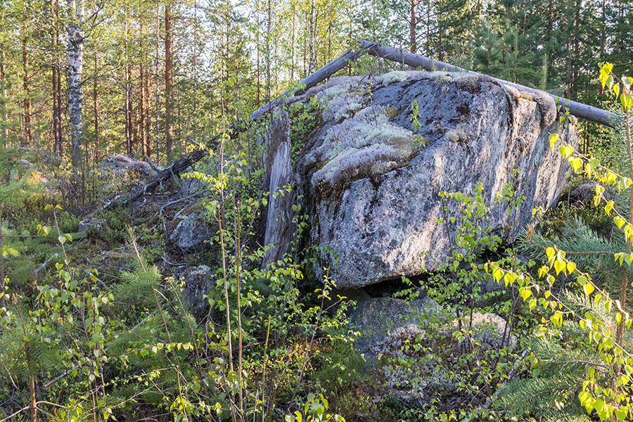 Kurjenvuori, Sorsakoski