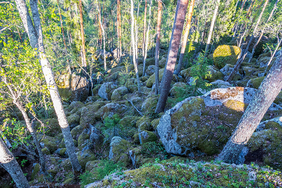 Kurjenvuori, Sorsakoski