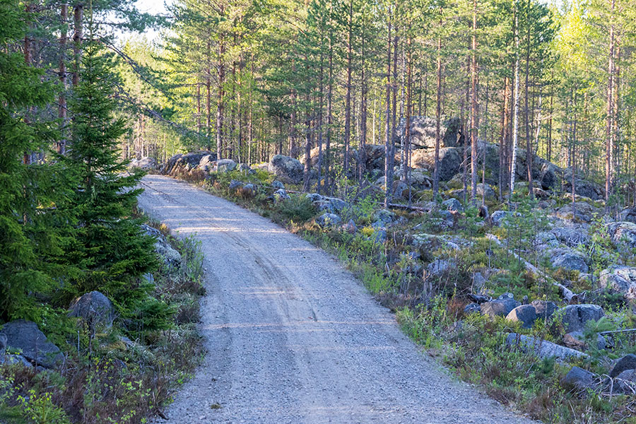 Kurjenvuori, Sorsakoski