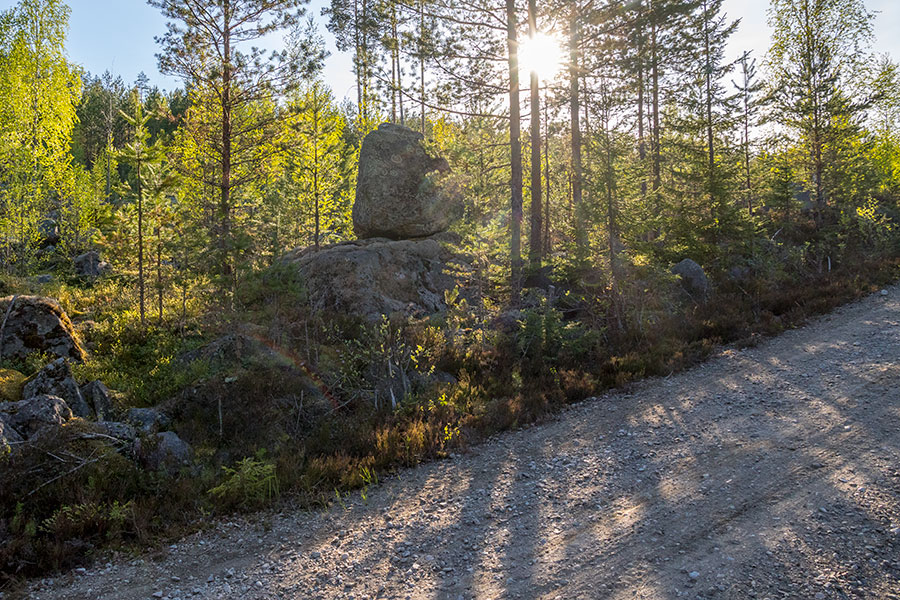 Kurjenvuori, Sorsakoski