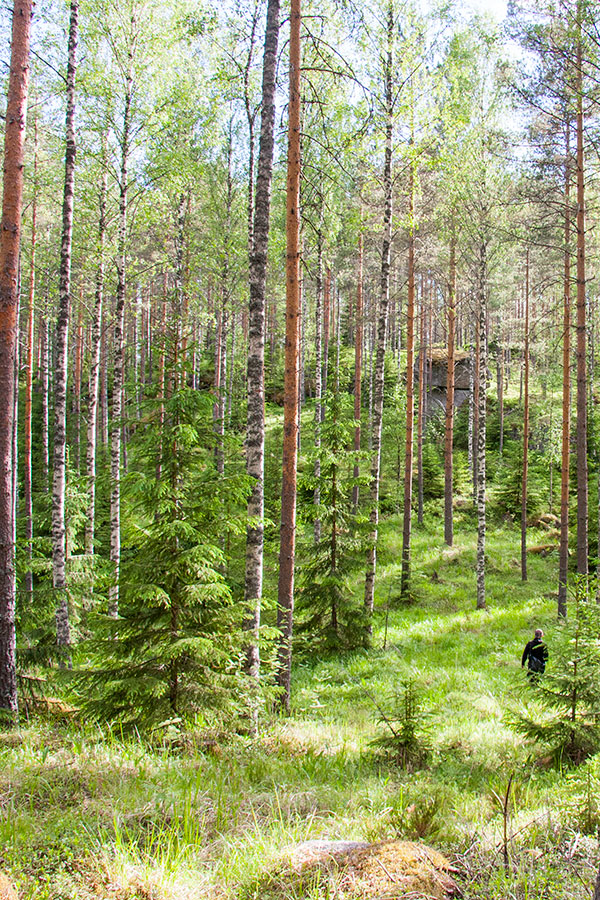 Kummakivi, Tihusniemi