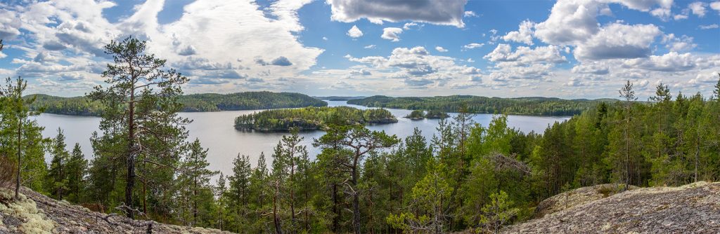 Sakastinkukkula, Ihantsalo, Puumala