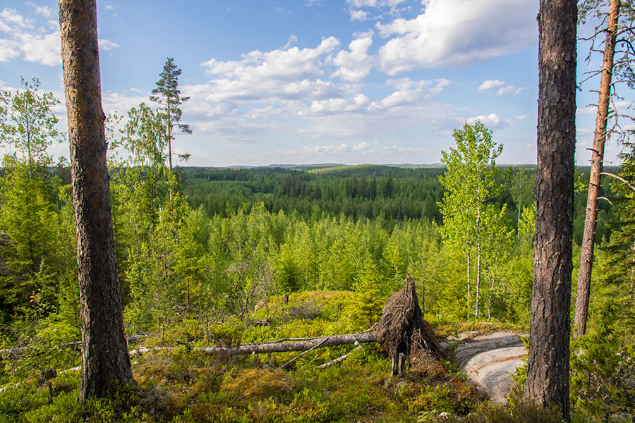 Leppävirta